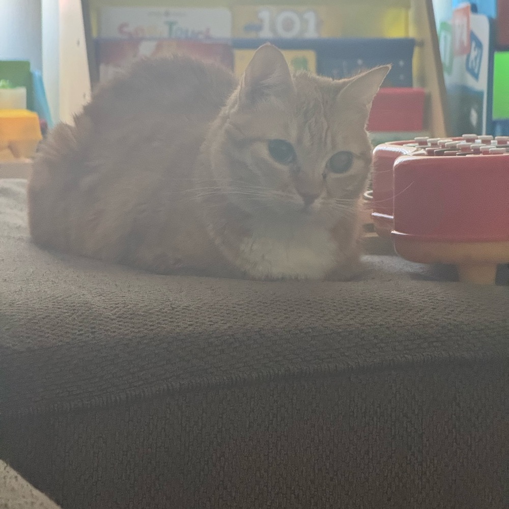 Antique Vintage Silver Plate Tray